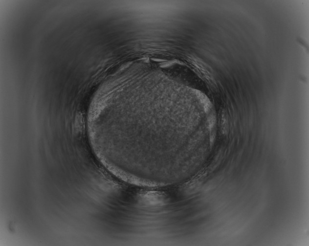 X0000091360467200709071307