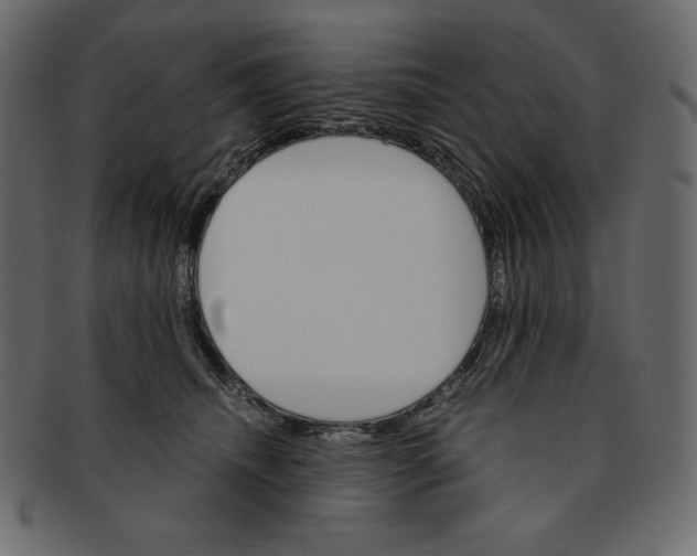 X0000091360468200709071307