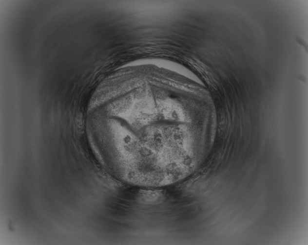 X0000091360469200709071307