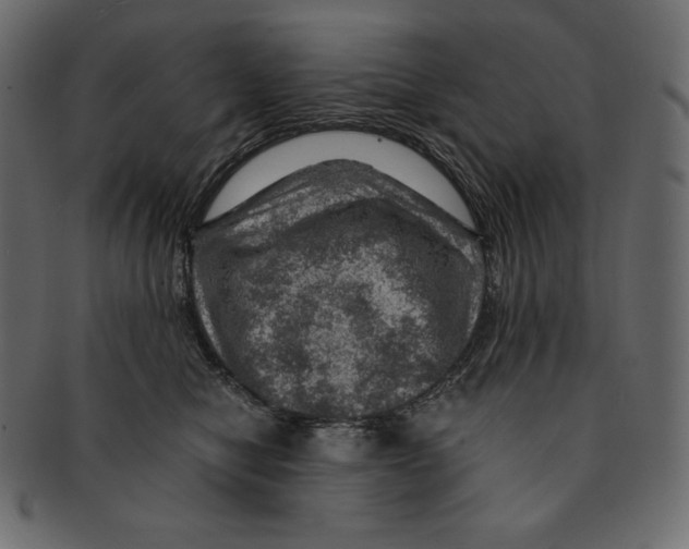 X0000091360470200709071307