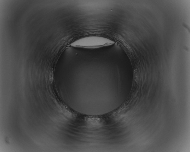 X0000091360471200709071307