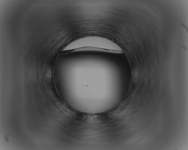 X0000091360472200709071307