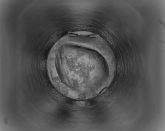 X0000091360473200709071307