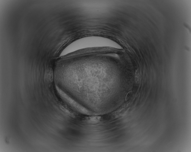 X0000091360474200709071307