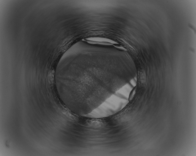 X0000091360475200709071307