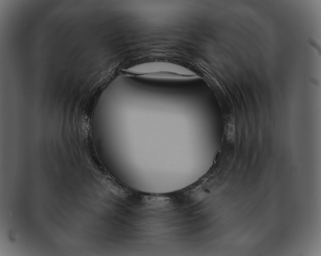 X0000091360476200709071307