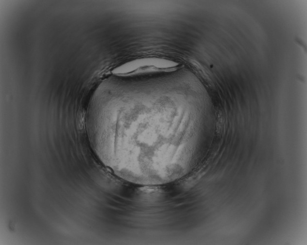 X0000091360477200709071307