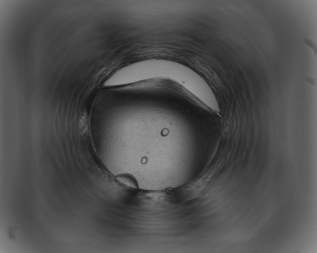 X0000091360478200709071307