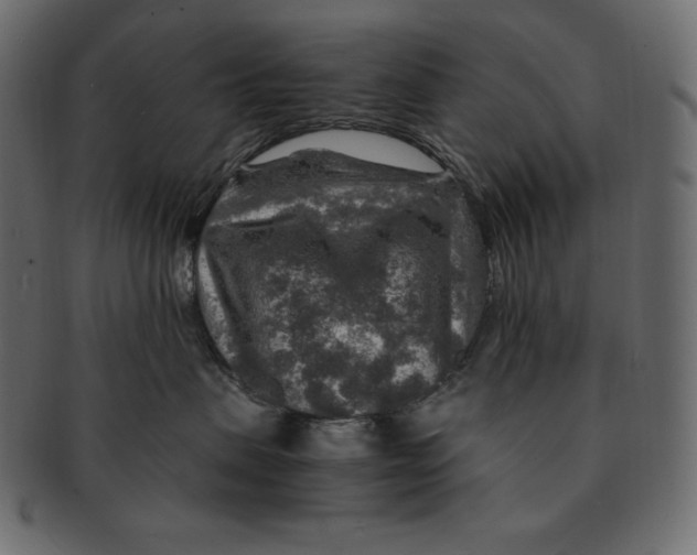 X0000091360479200709071307