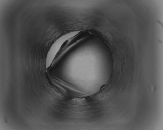 X0000091360480200709071307