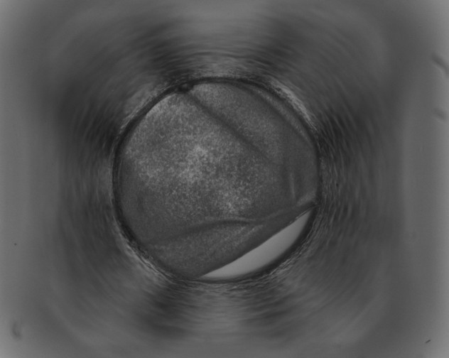 X0000091360482200709071306