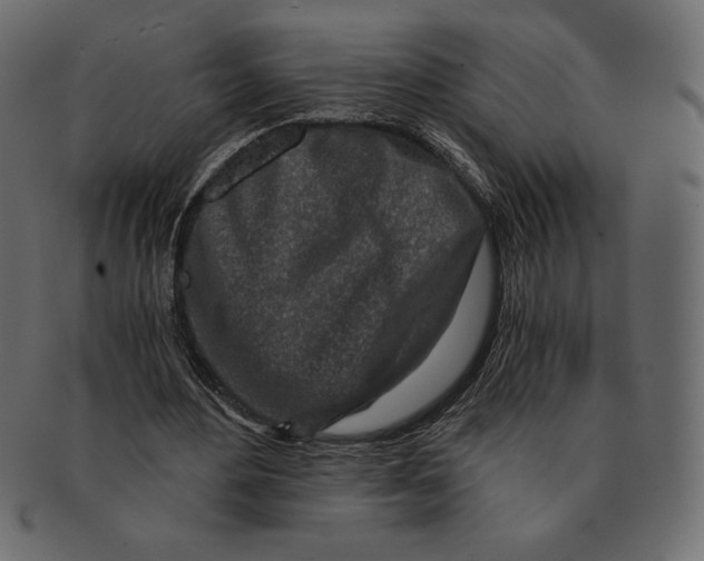 X0000091360484200709071306