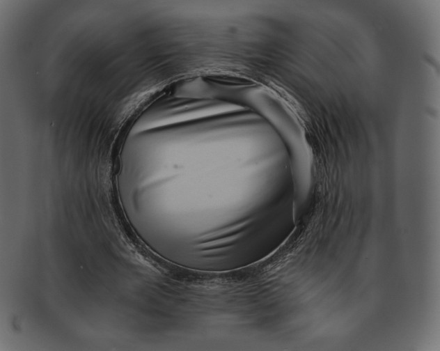 X0000091360485200709071306