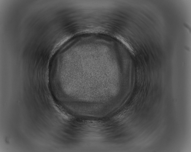 X0000091360486200709071306