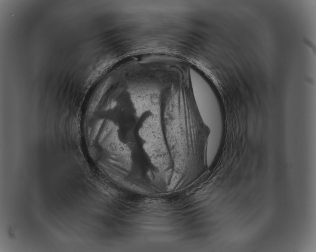 X0000091360487200709071306