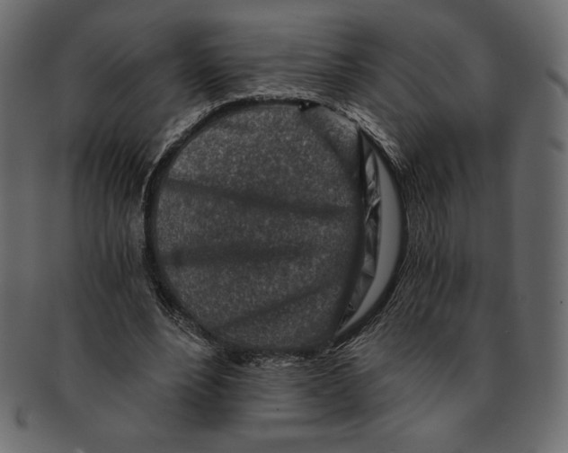 X0000091360488200709071306