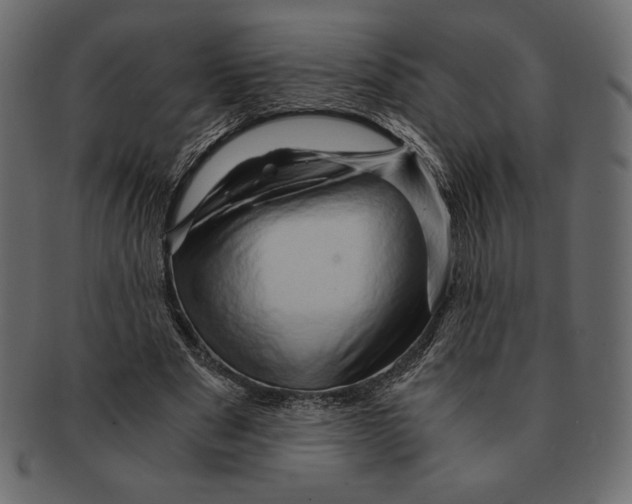 X0000091360489200709071306