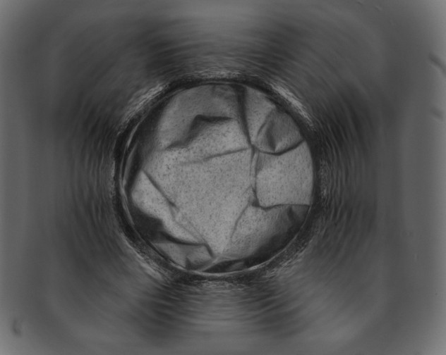 X0000091360490200709071306