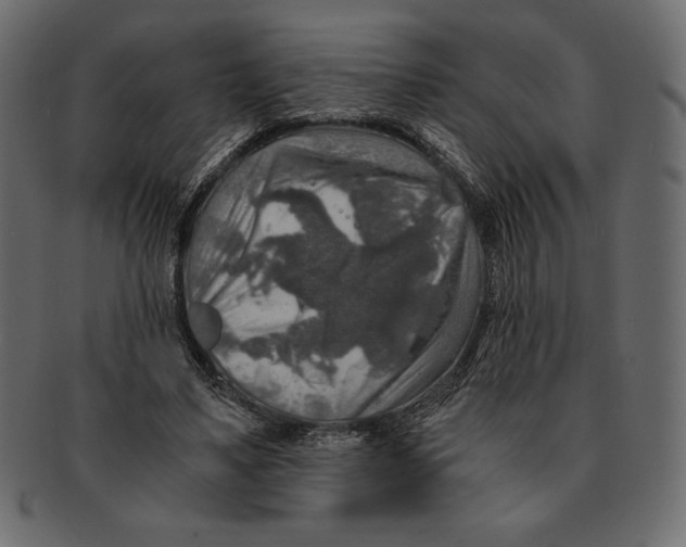 X0000091360491200709071306