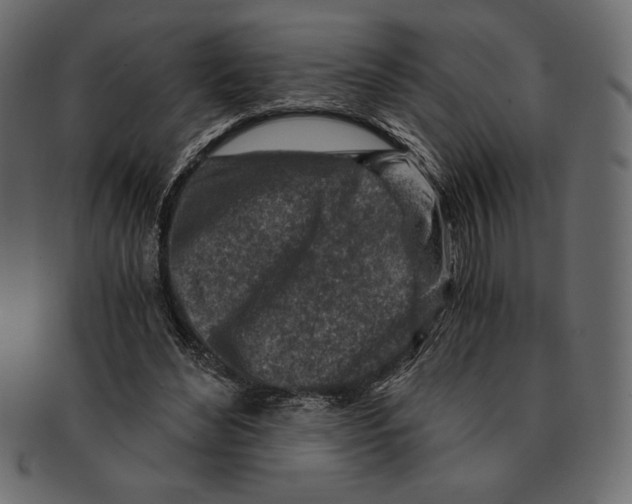 X0000091360492200709071306