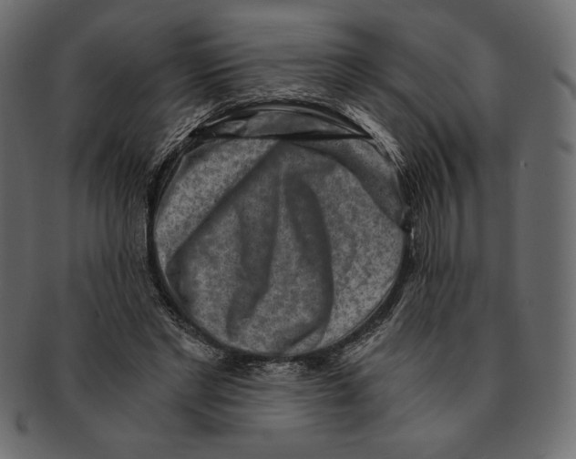 X0000091360493200709071306