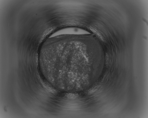 X0000091360494200709071306