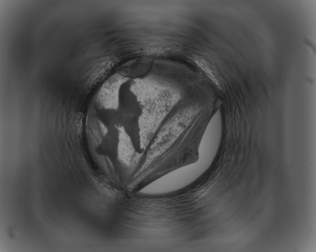 X0000091360495200709071306