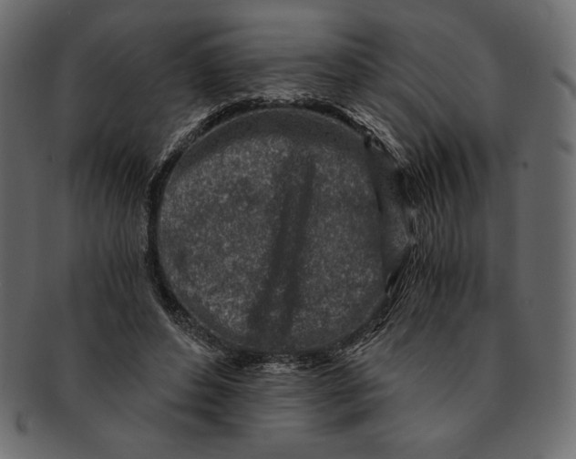 X0000091360496200709071306