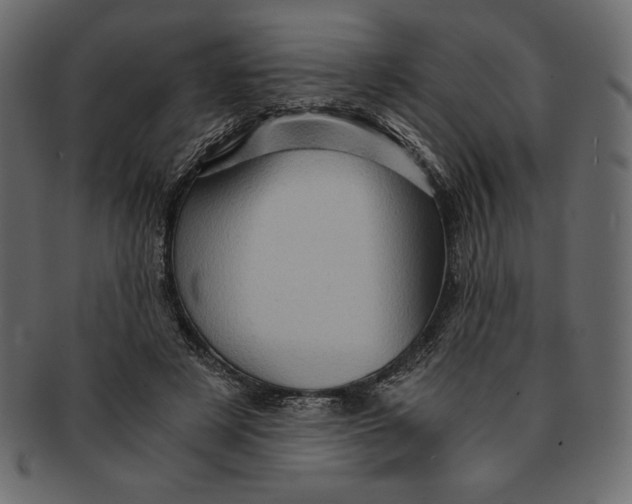 X0000091360497200709071306