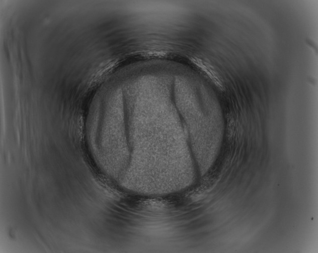 X0000091360498200709071306