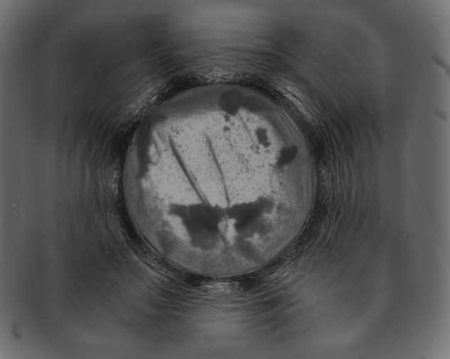 X0000091360499200709071306