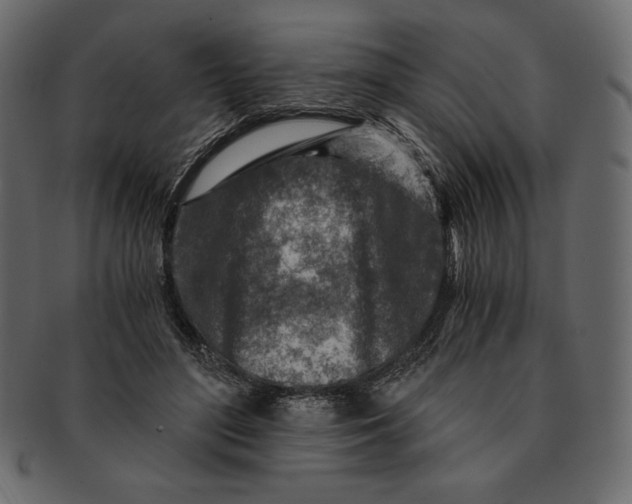 X0000091360500200709071306