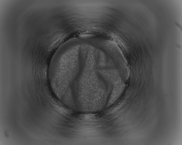 X0000091360501200709071306