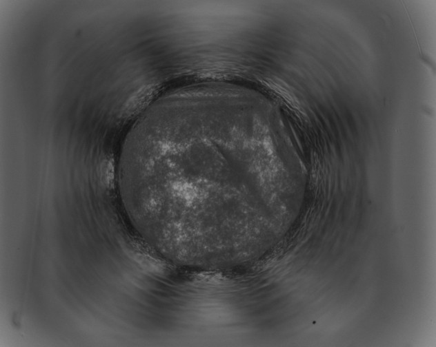 X0000091360502200709071306