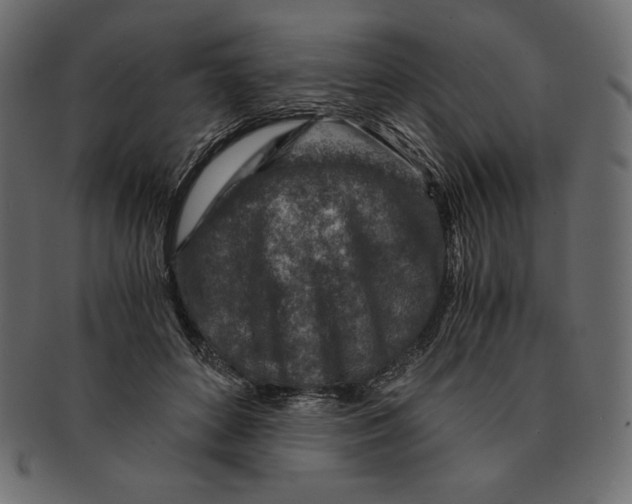 X0000091360504200709071306