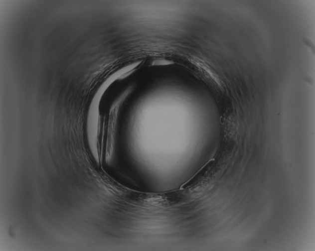 X0000091360505200709071306