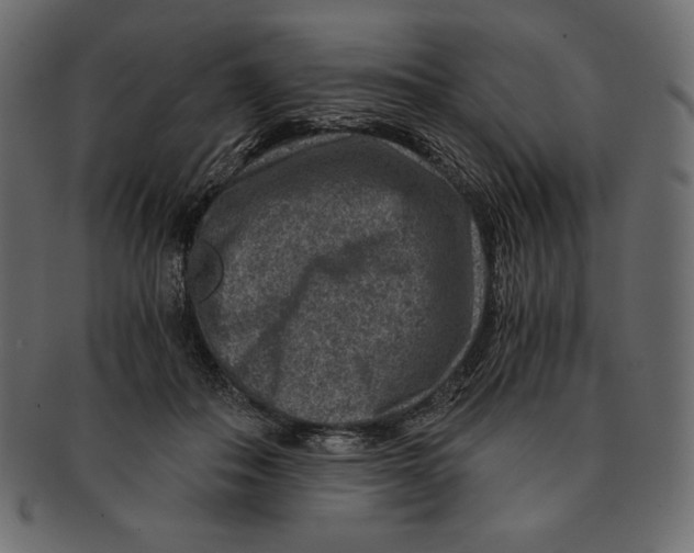 X0000091360506200709071306