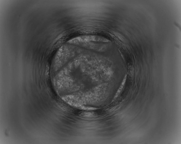 X0000091360507200709071306