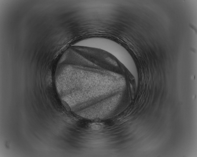 X0000091360508200709071306