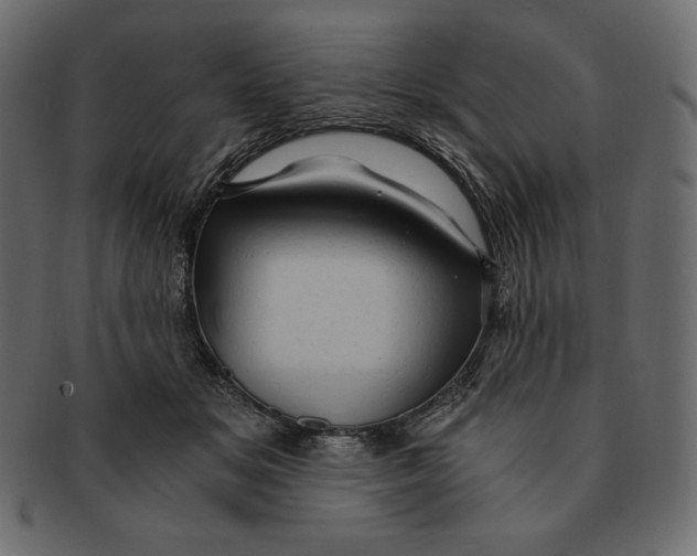 X0000091360509200709071306