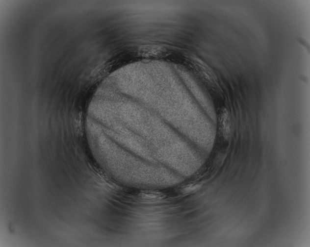 X0000091360510200709071306