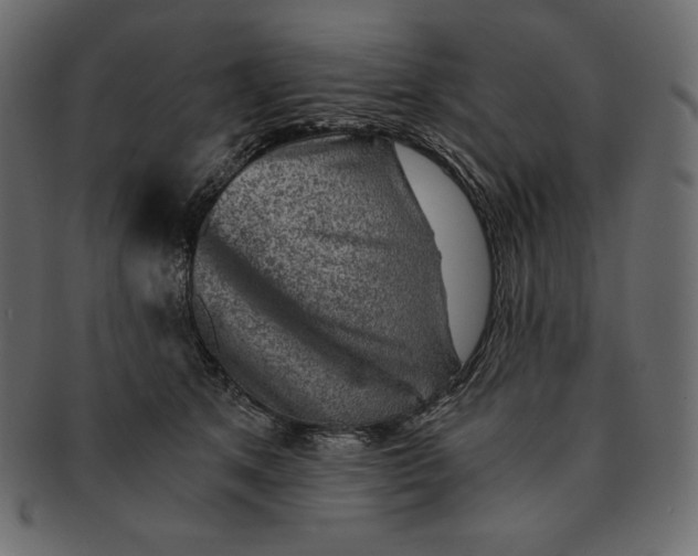 X0000091360513200709071306