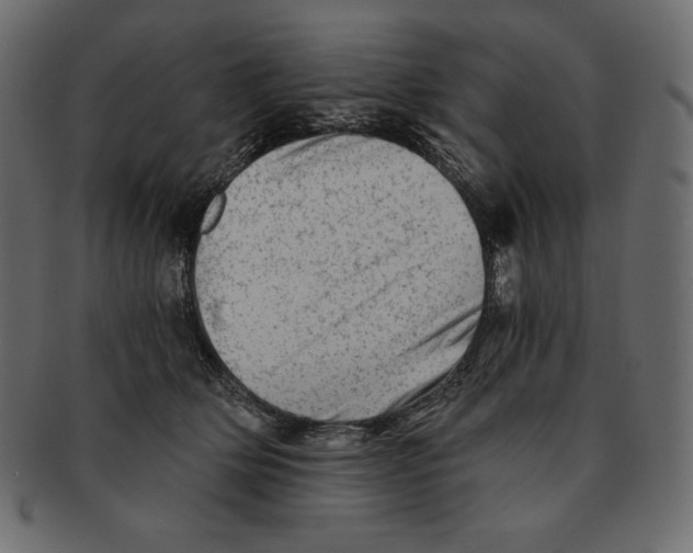 X0000091360514200709071306