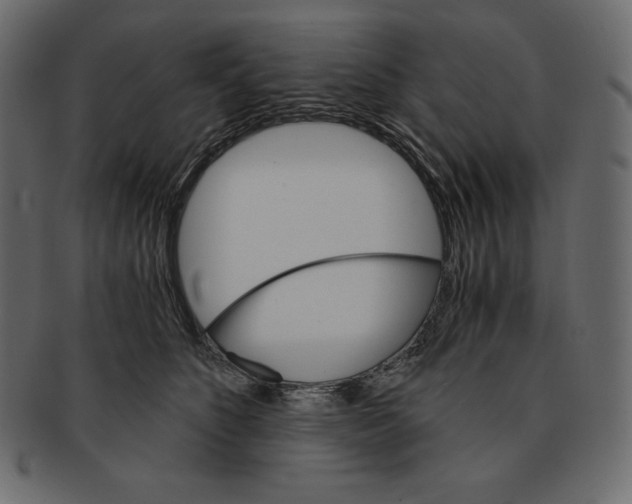 X0000091360516200709071306