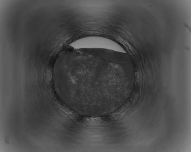 X0000091360517200709071306