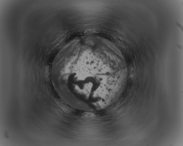 X0000091360519200709071306