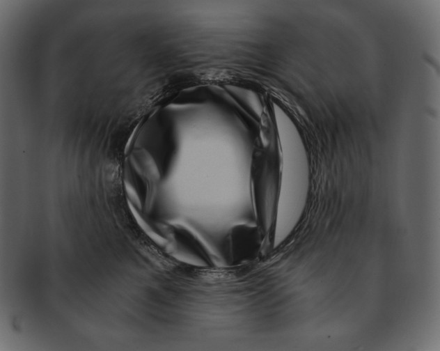 X0000091360521200709071306