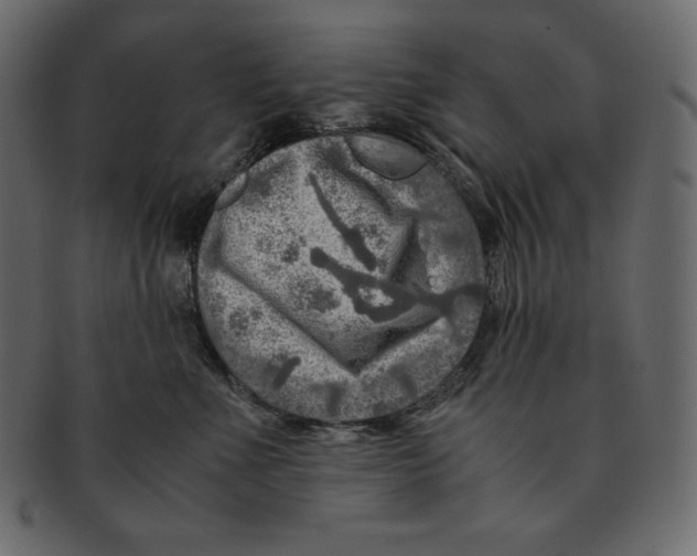 X0000091360523200709071306