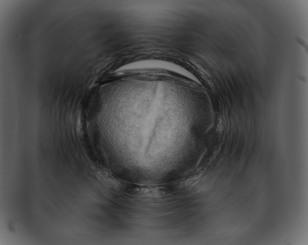 X0000091360524200709071306