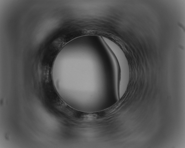 X0000091360525200709071306